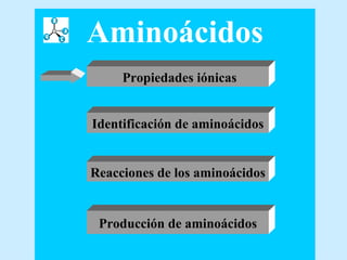 Aminoácidos Propiedades iónicas Identificación de aminoácidos Producción de aminoácidos Reacciones de los aminoácidos 
