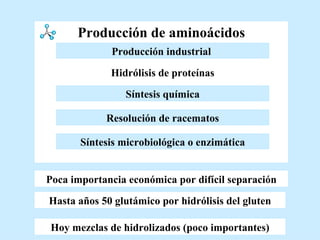 Producción de aminoácidos Hasta años 50 glutámico por hidrólisis del gluten Hoy mezclas de hidrolizados (poco importantes) Poca importancia económica por difícil separación Resolución de racematos Hidrólisis de proteínas Síntesis química Producción industrial   Síntesis microbiológica o enzimática 