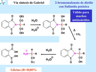 2-bromomalonato de dietilo con ftalimida potásica Vía síntesis de Gabriel Glicina (R=H)85% Válido para  muchos aminoácidos. 