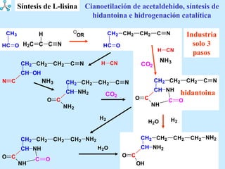 Cianoetilación de acetaldehido, síntesis de hidantoina e hidrogenación catalítica Síntesis de L-lisina Industria solo 3 pasos hidantoina 