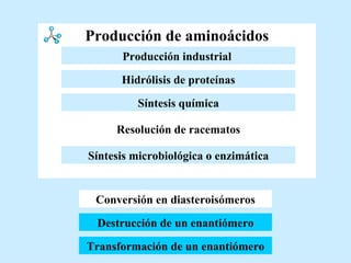 Producción de aminoácidos Destrucción de un enantiómero Conversión en diasteroisómeros Transformación de un enantiómero Conversión en diasteroisómeros Resolución de racematos Hidrólisis de proteínas Síntesis química Producción industrial   Síntesis microbiológica o enzimática 