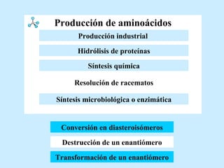 Producción de aminoácidos Destrucción de un enantiómero Conversión en diasteroisómeros Transformación de un enantiómero Conversión en diasteroisómeros Resolución de racematos Hidrólisis de proteínas Síntesis química Producción industrial   Síntesis microbiológica o enzimática 