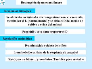 Destrucción de un enantiómero Se alimenta un animal o microorganismo con  el racemato, metaboliza el L (normalmente) y se aísla el D del medio de cultivo o orina del animal Resolución enzimática Resolución biológica Poco útil y solo para preparar el D D-aminoácido oxidasa del riñón L-aminoácido oxidasa de la serpiente de cascabel Destruyen un isómero y no el otro. También poco rentable 