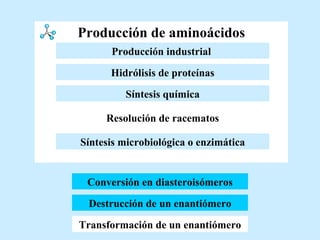 Producción de aminoácidos Destrucción de un enantiómero Conversión en diasteroisómeros Transformación de un enantiómero Conversión en diasteroisómeros Resolución de racematos Hidrólisis de proteínas Síntesis química Producción industrial   Síntesis microbiológica o enzimática 