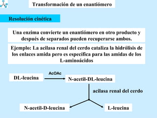 Transformación de un enantiómero Una enzima convierte un enantiómero en otro producto y después de separados pueden recuperarse ambos. Resolución cinética Ejemplo: La acilasa renal del cerdo cataliza la hidrólisis de los enlaces amida pero es específica para las amidas de los L-aminoácidos DL-leucina N-acetil-DL-leucina acilasa renal del cerdo N-acetil-D-leucina L-leucina 