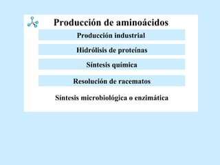 Producción de aminoácidos Resolución de racematos Hidrólisis de proteínas Síntesis química Producción industrial   Síntesis microbiológica o enzimática 