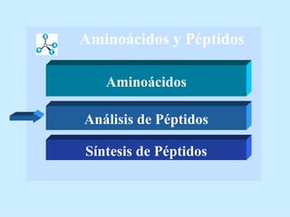 Aminoácidos y Péptidos Aminoácidos Análisis de Péptidos Síntesis de Péptidos 