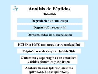Análisis de Péptidos Otros métodos de secuenciación Degradación en una etapa Esterificación   Degradación secuencial Hidrólisis   Glutamina y asparragina dan amoniaco y ácidos glutámico y aspártico Triptofano se destruye en la hidrólisis Análisis: básicos (pH=5,3),neutros (pH=4,25), ácidos (pH=3,25), HCl 6N a 105ºC (no bases por racemización) Hidrólisis   