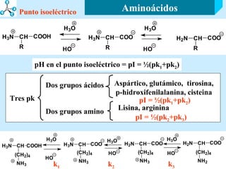 pH en el punto isoeléctrico = pI = ½(pk 1 +pk 2 ) Dos grupos ácidos  Dos grupos amino  Tres pk  Aspártico, glutámico,  tirosina, p-hidroxifenilalanina, cisteina Lisina, arginina pI = ½(pk 1 +pk 2 ) k 1 k 2 k 3 pI = ½(pk 2 +pk 3 ) Aminoácidos Punto isoeléctrico 
