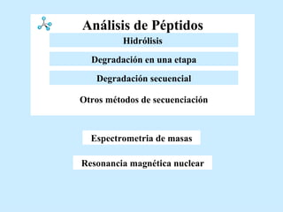 Análisis de Péptidos Resonancia magnética nuclear Espectrometria de masas Otros métodos de secuenciación Degradación en una etapa Esterificación   Degradación secuencial Hidrólisis   Hidrólisis   