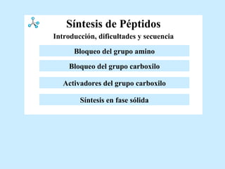 Síntesis de Péptidos Activadores del grupo carboxilo Bloqueo del grupo amino Bloqueo del grupo carboxilo Síntesis en fase sólida Introducción, dificultades y secuencia   