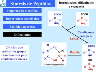 Importancia científica Importancia tecnológica Facilidad aparente Dificultades 2ª)  Hay que activar los grupos reaccionantes para condiciones suaves. Condiciones enérgicas Lenta Rápida 2,5-dicetopiperazina Síntesis de Péptidos Introducción, dificultades y secuencia 