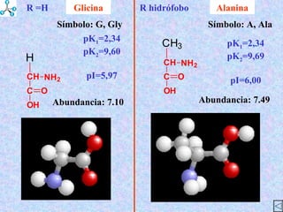 Alanina Glicina Abundancia : 7.10 Símbolo : G, Gly Abundancia : 7.49 Símbolo : A, Ala pK 1 =2,34 pK 2 =9,60 pI=5,97 R hidrófobo pK 1 =2,34 pK 2 =9,69 pI=6,00 R =H 