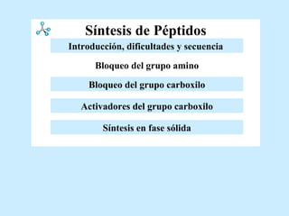 Síntesis de Péptidos Activadores del grupo carboxilo Bloqueo del grupo amino Introducción y dificultades Bloqueo del grupo carboxilo Síntesis en fase sólida Introducción, dificultades y secuencia   