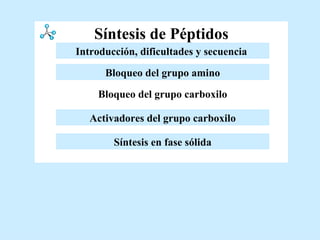 Síntesis de Péptidos Activadores del grupo carboxilo Bloqueo del grupo amino Introducción y dificultades Bloqueo del grupo carboxilo Síntesis en fase sólida Introducción, dificultades y secuencia   