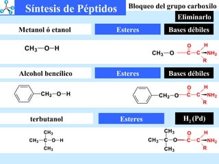 Bases débiles Bloqueo del grupo carboxilo Eliminarlo H 2  (Pd) Bases débiles Síntesis de Péptidos Esteres Metanol ó etanol  Alcohol bencílico Esteres terbutanol Esteres 