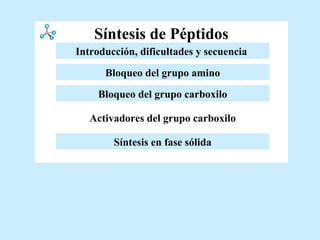 Síntesis de Péptidos Activadores del grupo carboxilo Bloqueo del grupo amino Introducción y dificultades Bloqueo del grupo carboxilo Síntesis en fase sólida Introducción, dificultades y secuencia   