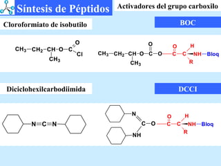 BOC Cloroformiato de isobutilo  Diciclohexilcarbodiimida DCCI Síntesis de Péptidos Activadores del grupo carboxilo 