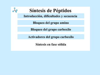 Síntesis de Péptidos Activadores del grupo carboxilo Bloqueo del grupo amino Introducción y dificultades Bloqueo del grupo carboxilo Síntesis en fase sólida Introducción, dificultades y secuencia   