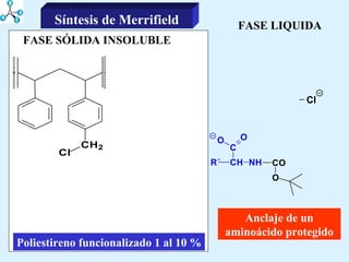 FASE LIQUIDA Anclaje de un aminoácido protegido Poliestireno funcionalizado 1 al 10 % FASE SÓLIDA INSOLUBLE Síntesis de Merrifield 