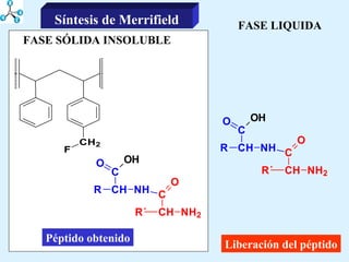FASE LIQUIDA Liberación del péptido FASE SÓLIDA INSOLUBLE Péptido obtenido Síntesis de Merrifield 