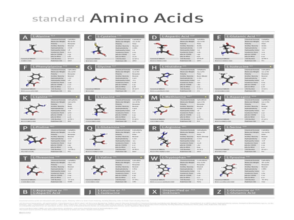 Amino acid