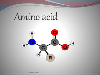 Amino acid
Amino Acids 1
 