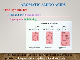 Amino acid