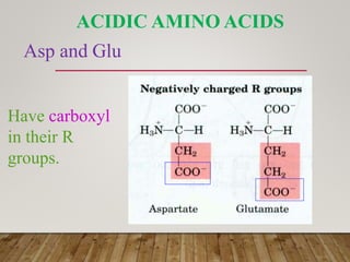 Amino acid