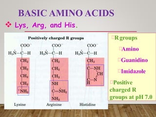 Amino acid