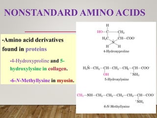 Amino acid