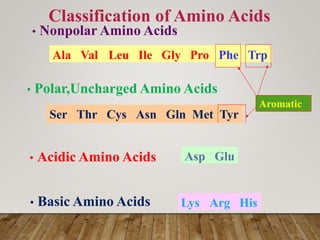 Amino acid