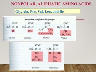 Amino acid