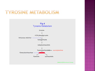 Amino acid metabolism disorder | PPTX