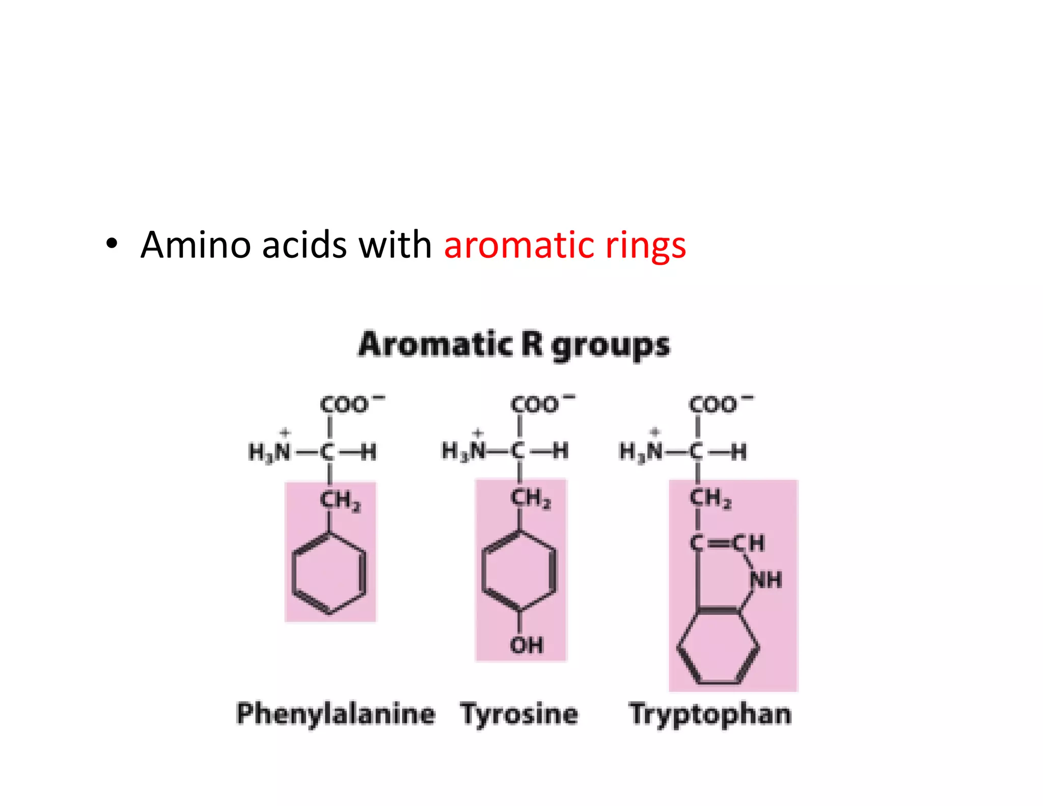 • Amino acids with aromatic rings
 