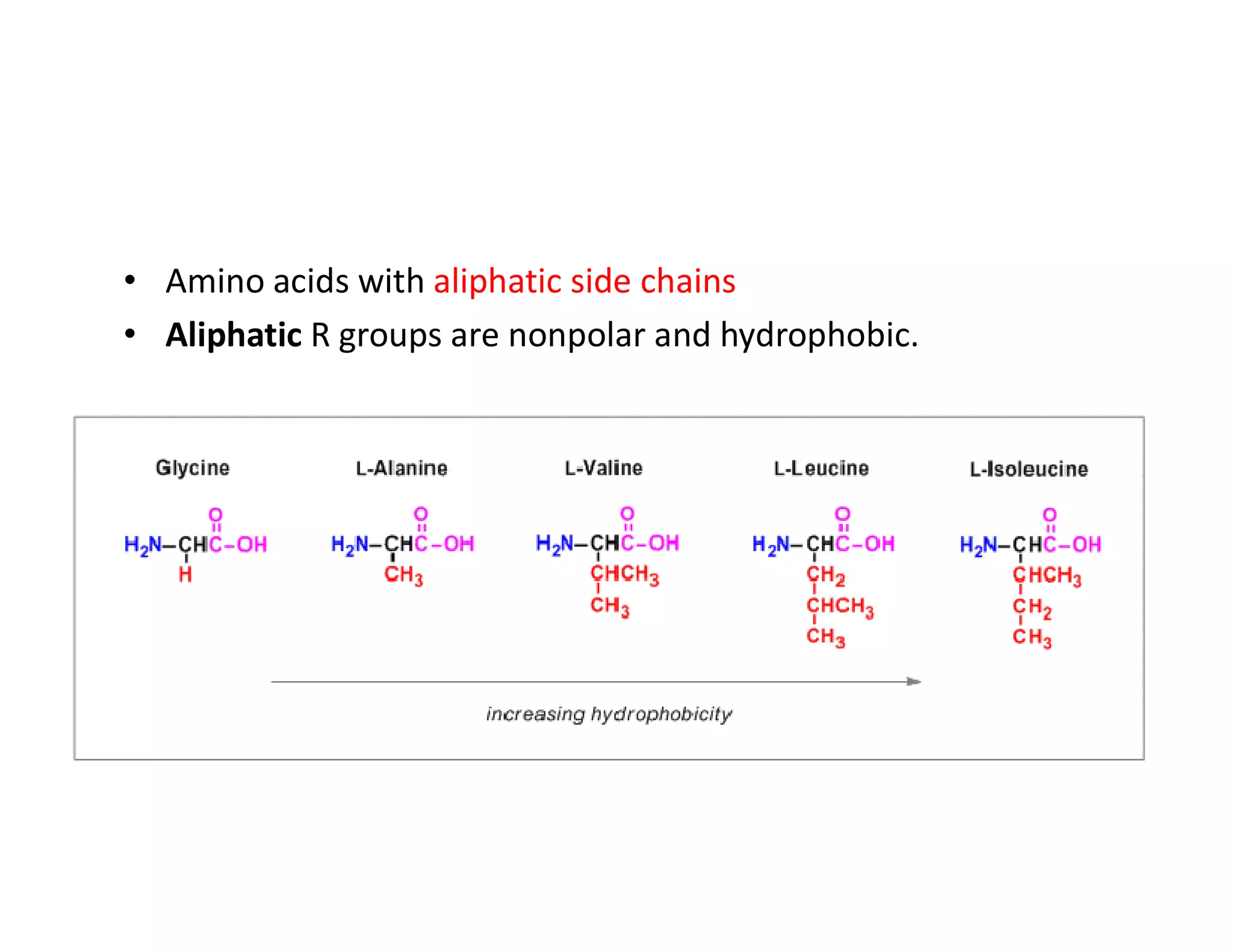 • Amino acids with aliphatic side chains
• Aliphatic R groups are nonpolar and hydrophobic.
 