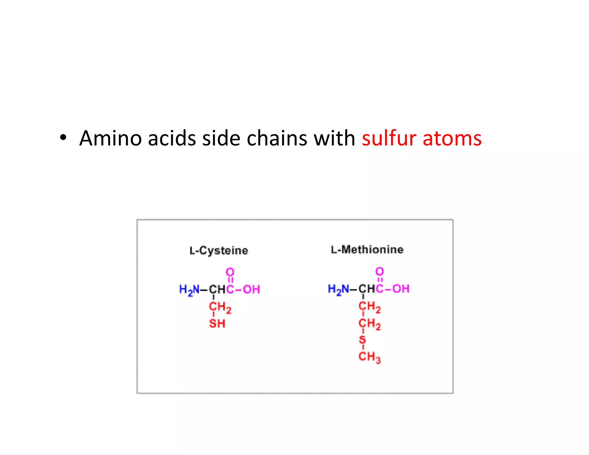 • Amino acids side chains with sulfur atoms
 
