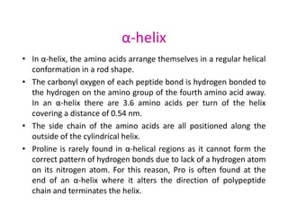 Proteins and Amino acid -: classification , structure,functions ...