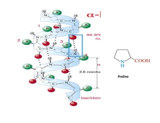 Proteins and Amino acid -: classification , structure,functions ...