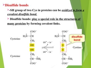 Amino acid and its classification___.ppt