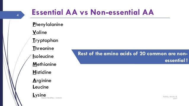 note 8 vs vivotab note 8 essential amino note 8 vs vivotab note 8 essential amino