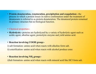 Amino Acid and Proteins.pdf