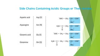 Amino acid and their classification | PPTX