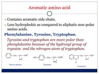 Aromatic amino acid
Contains aromatic side chain.
Less hydrophobic as compared to aliphatic non-polar
amino acids.
Phenylalanine, Tyrosine, Tryptophan.
Tyrosine and tryptophan are more polar than
phenylalanine because of the hydroxyl group of
tryosine and the nitrogen atom of tryptophan.
 