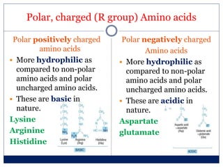 Polar, charged (R group) Amino acids
Polar positively charged
amino acids
 More hydrophilic as
compared to non-polar
amino acids and polar
uncharged amino acids.
 These are basic in
nature.
Lysine
Arginine
Histidine
Polar negatively charged
Amino acids
 More hydrophilic as
compared to non-polar
amino acids and polar
uncharged amino acids.
 These are acidic in
nature.
Aspartate
glutamate
 