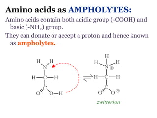 Amino acids as AMPHOLYTES:
Amino acids contain both acidic group (-COOH) and
basic (-NH2) group.
They can donate or accept a proton and hence known
as ampholytes.
 