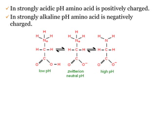  In strongly acidic pH amino acid is positively charged.
 In strongly alkaline pH amino acid is negatively
charged.
 