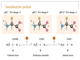 Isoelectric point
7/5/2012
29
Biochemistry For Medics
 
