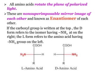 All amino acids rotate the plane of polarized
light.
These are nonsuperimposable mirror image of
each other and known as Enantiomer of each
other.
If the carboxyl group is written at the top , the D
form refers to the isomer having –NH2 at on the
right; the L form refers to the amino acid having
-NH2 group on the left.
 