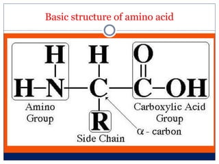 Basic structure of amino acid
 
